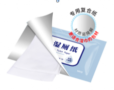 定制湿厕纸卫生清洁